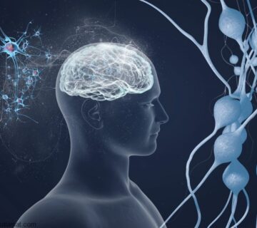 انواع اختلال شناختی